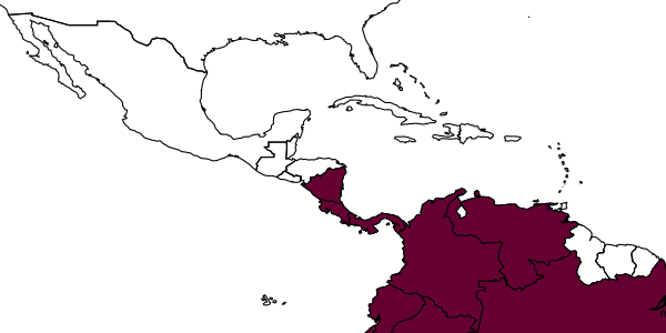 map of Metapolybia aztecoides     Richards, 1978